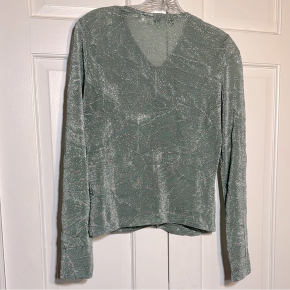 EUC Elegant Andrea Polizzi Silver Shimmering Long Sleeve Button Down Top Size M - Picture 2 of 7